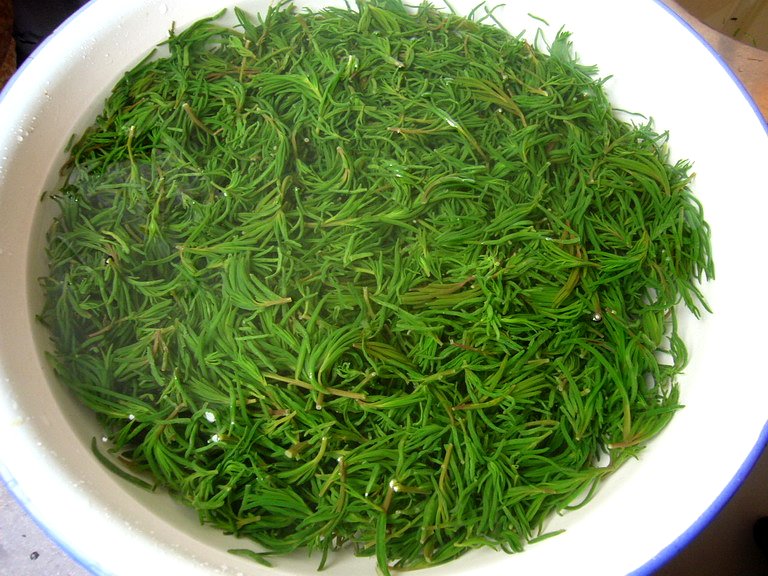 P1200883_缩小大小.JPG