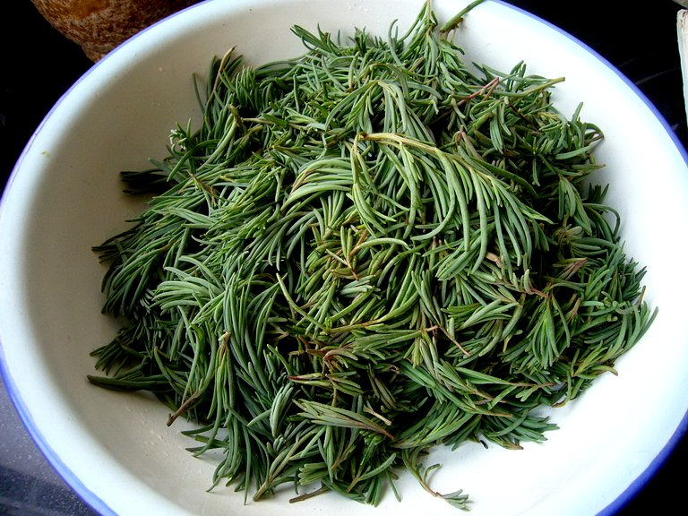 P1200882_缩小大小.JPG