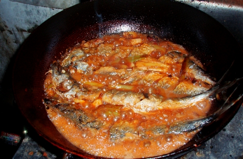 P1010043.JPG