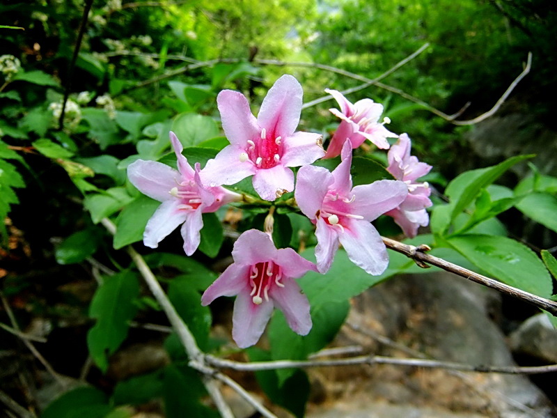 DSCF6298.jpg