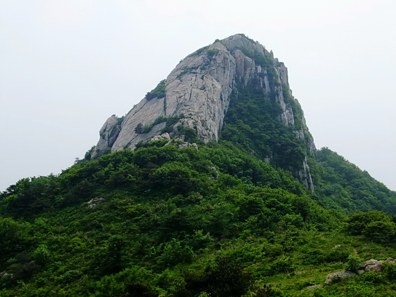 DSCF6356.jpg