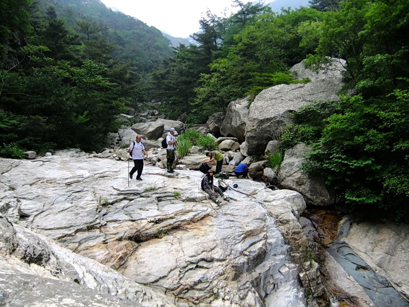 DSCF6367.jpg