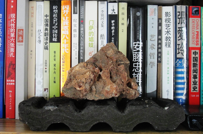 DSC04907.jpg