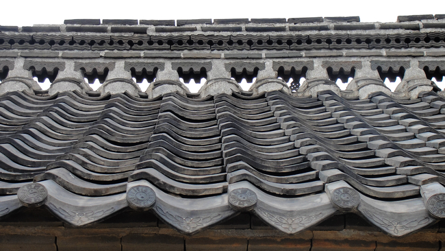DSC04903.jpg