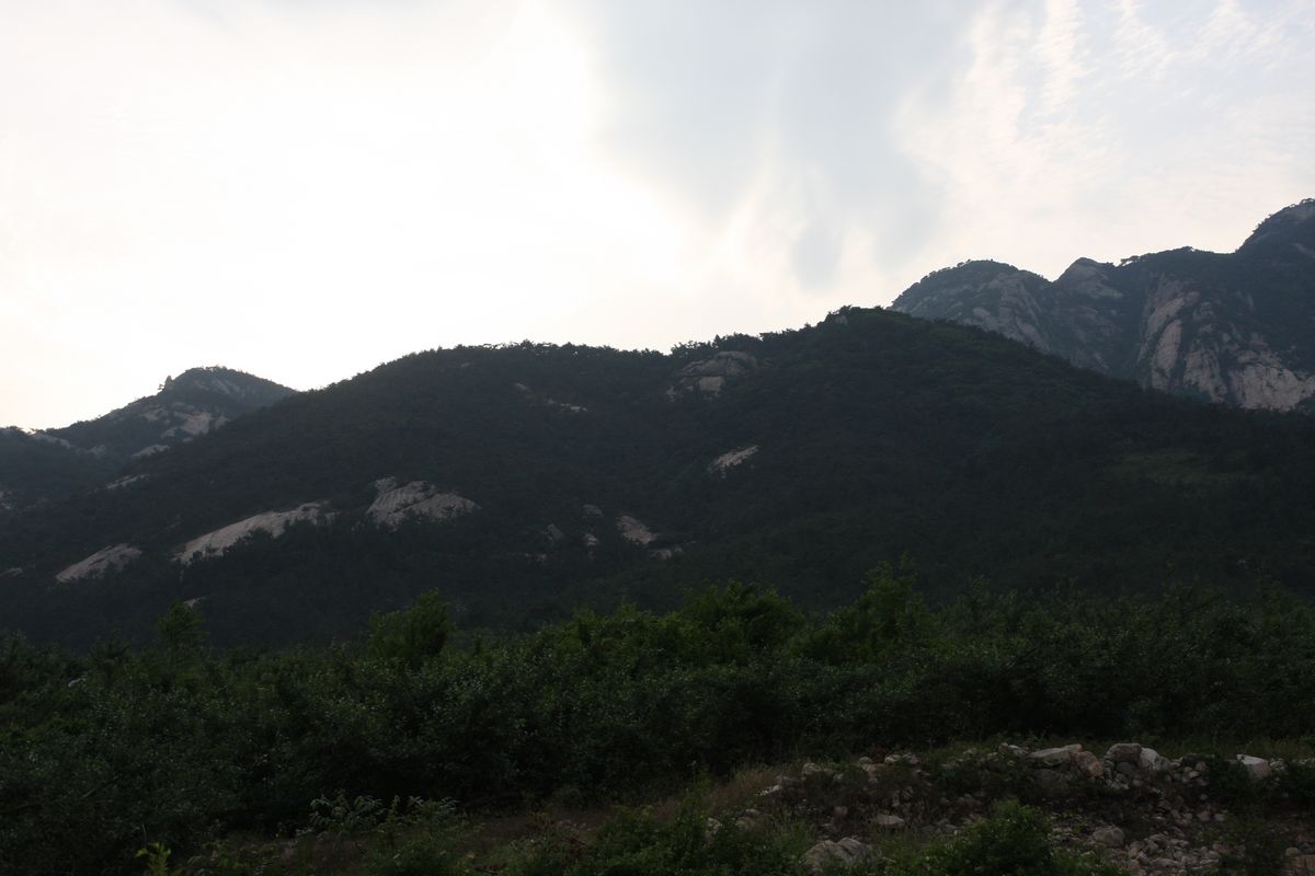 IMG_6706.JPG