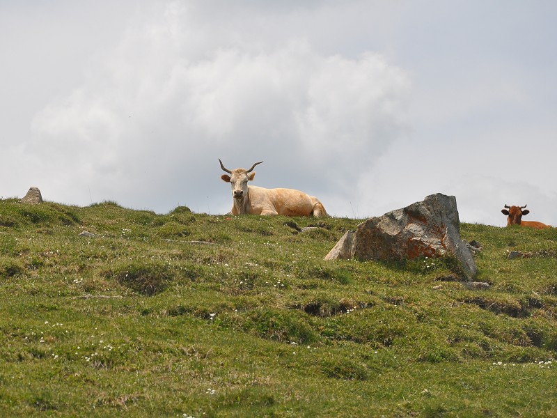 PhotoCap_116.jpg