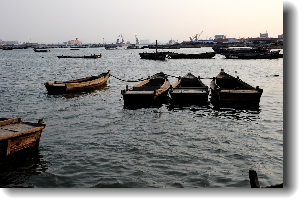 DSC_1434.jpg
