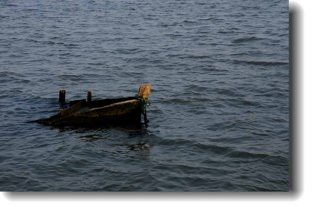 DSC_1440.jpg