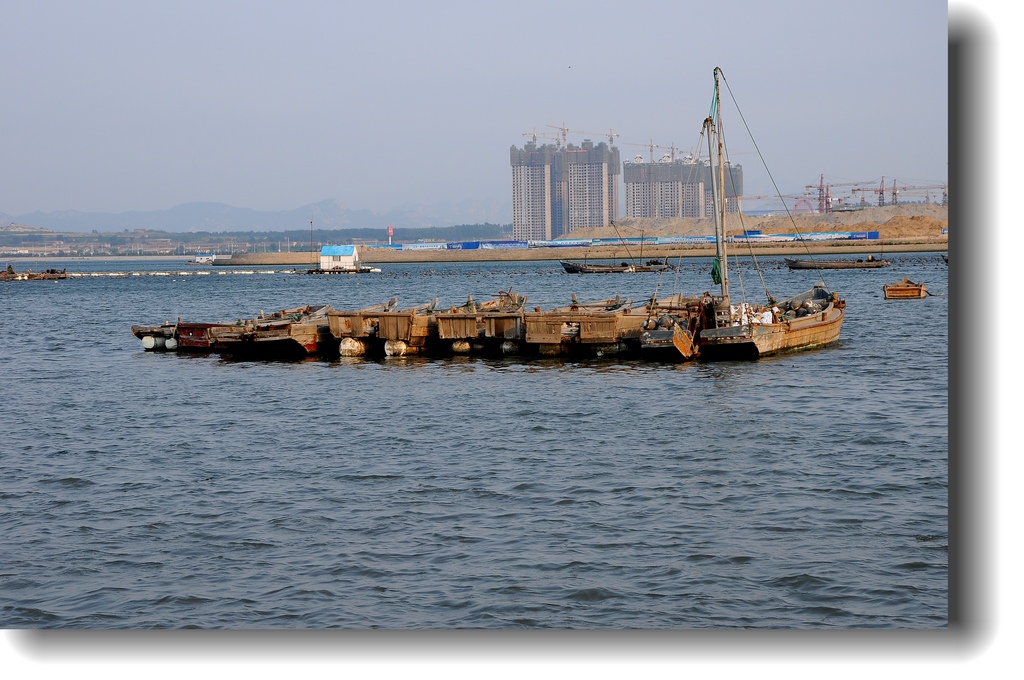 DSC_1439.jpg