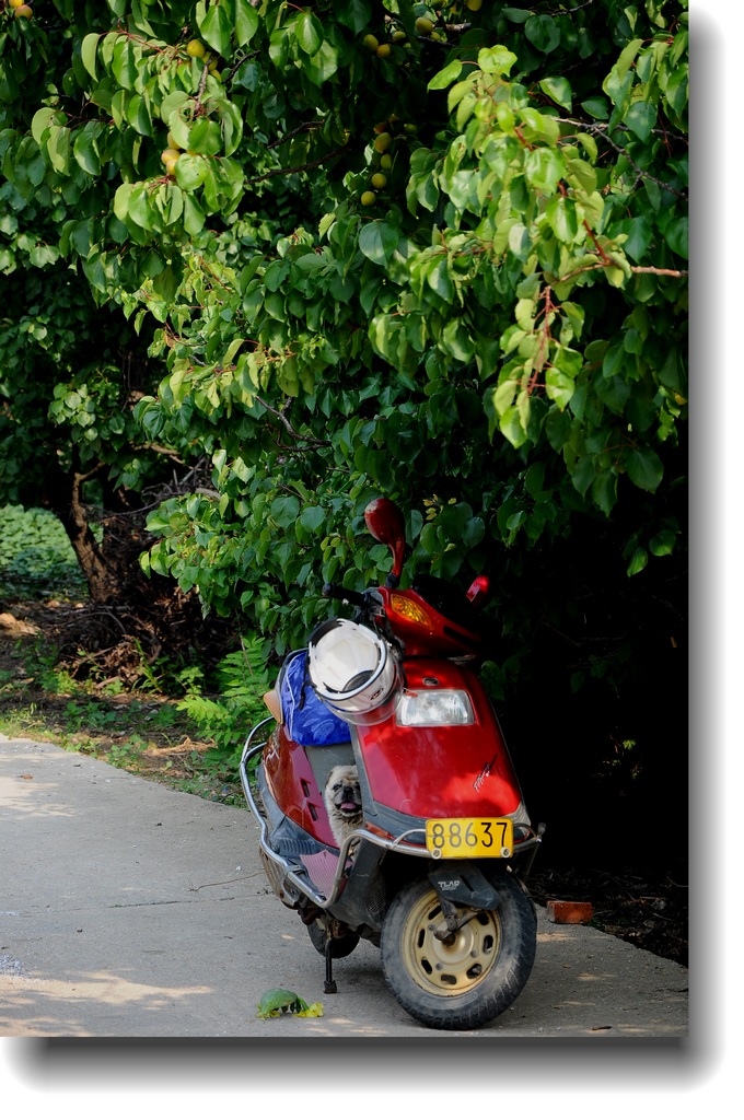 DSC_1583.jpg