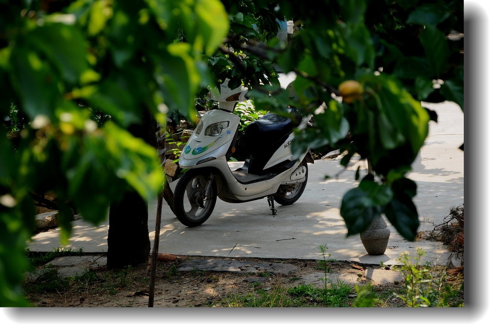 DSC_1594.jpg