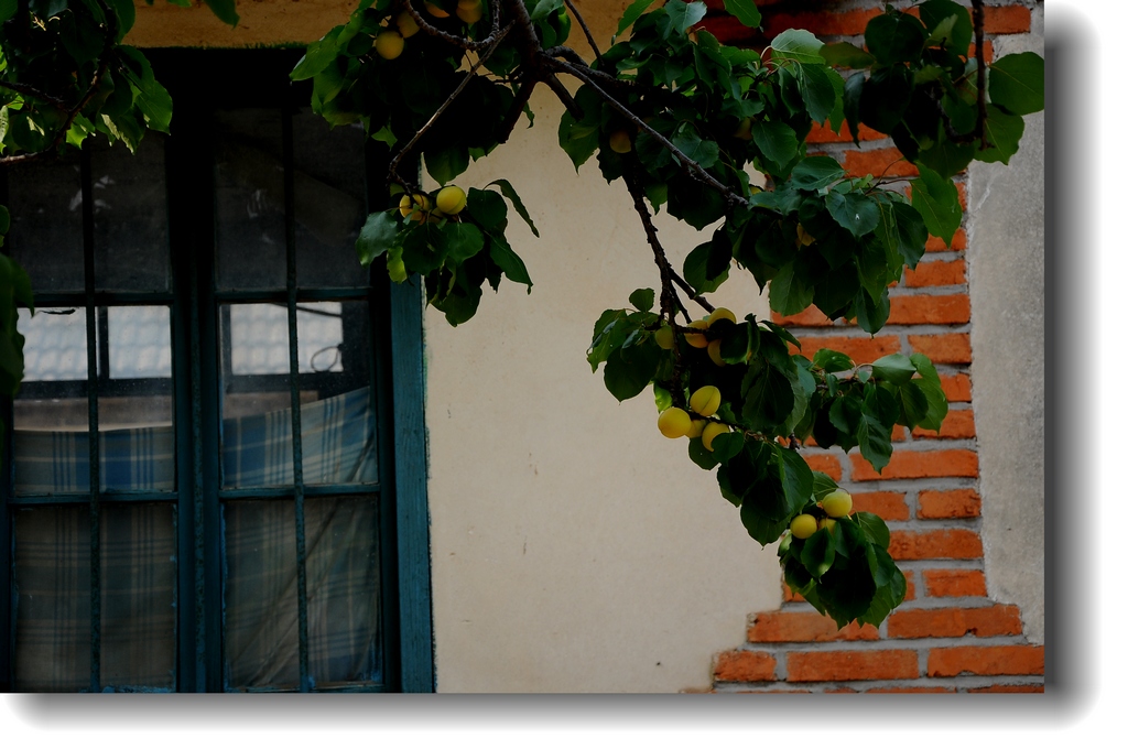 DSC_1601.jpg