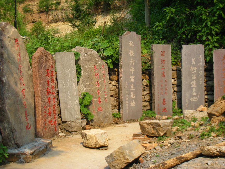 照片 313.jpg
