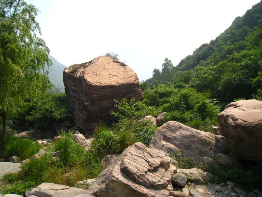 照片 598.jpg