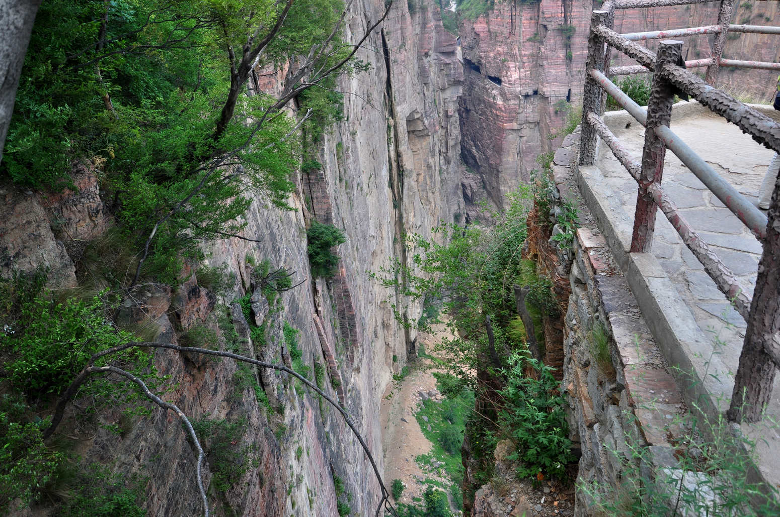 nEO_IMG_DSC_4235.jpg