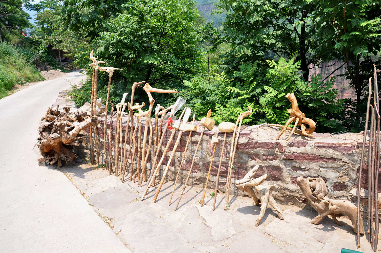 nEO_IMG_DSC_4255.jpg