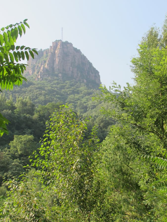 IMG_2256.JPG
