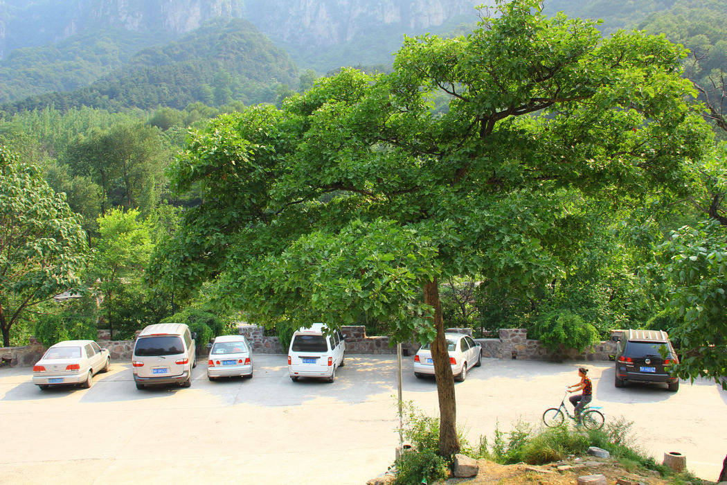 万仙山-郭亮-八里沟 307.jpg