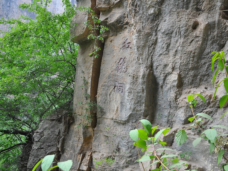 PhotoCap_288.jpg