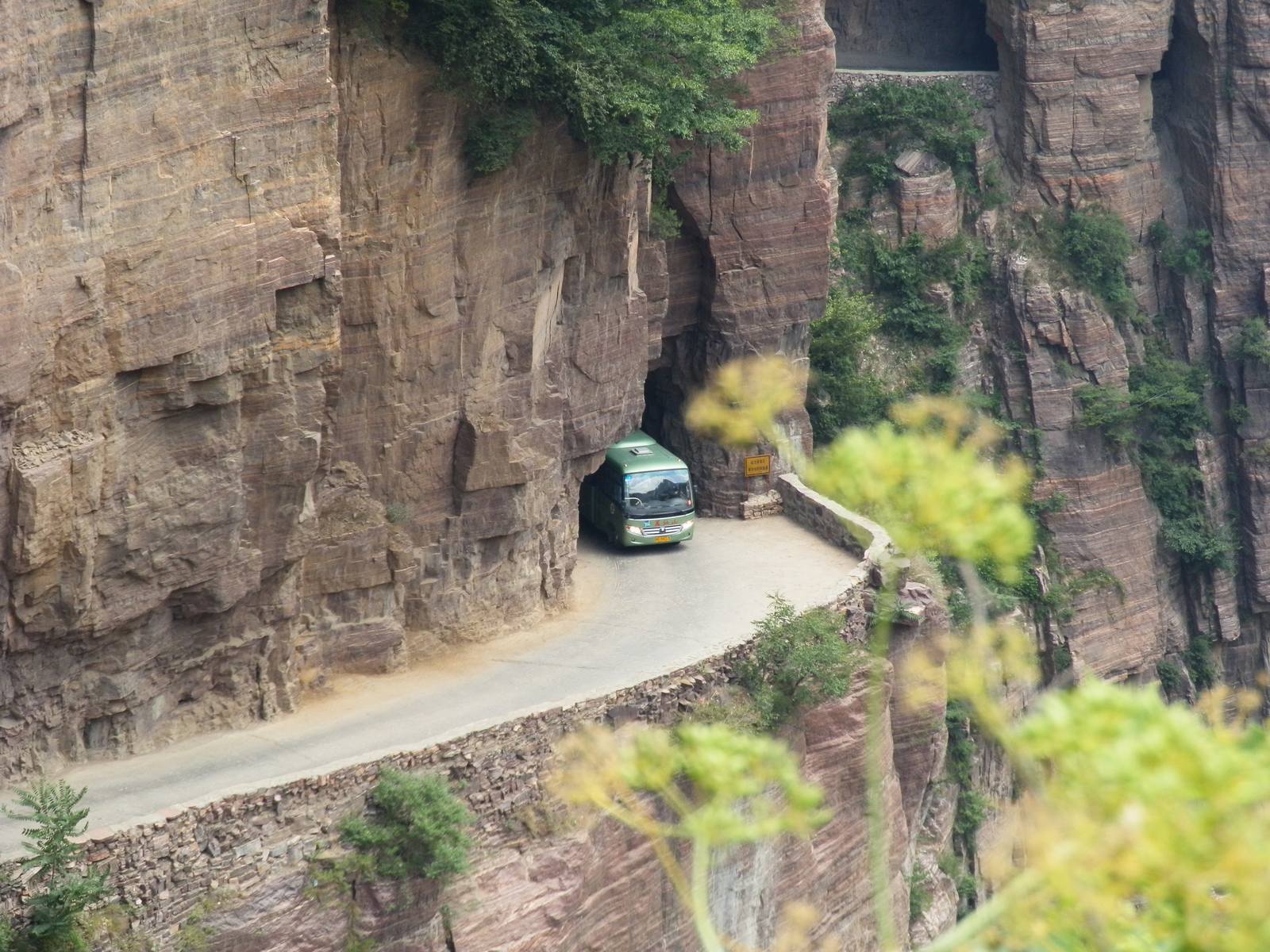 进山来的客人.JPG