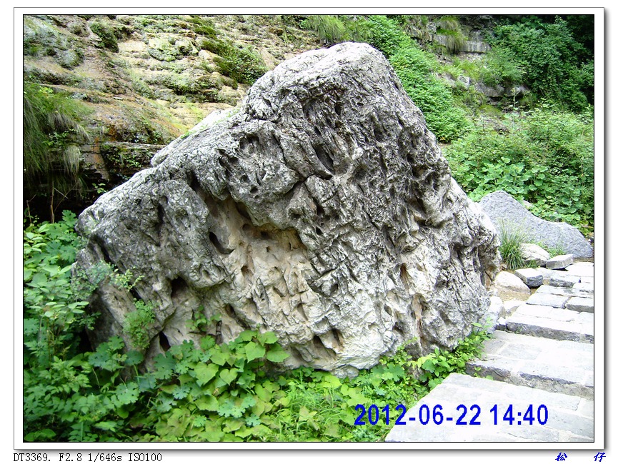 PICT0197.jpg