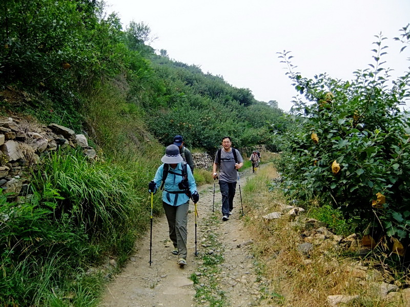 DSCF6373.jpg