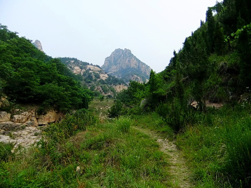 DSCF6374.jpg