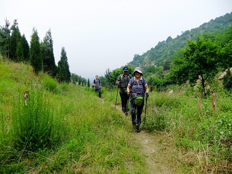 DSCF6375.jpg