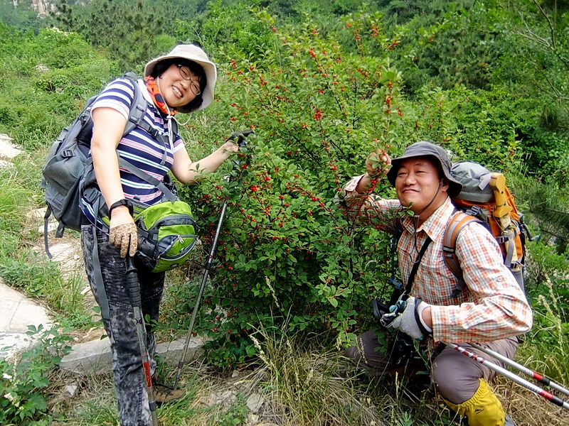 DSCF6378.jpg