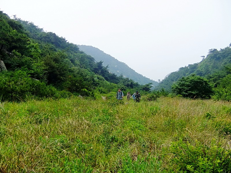 DSCF6393.jpg