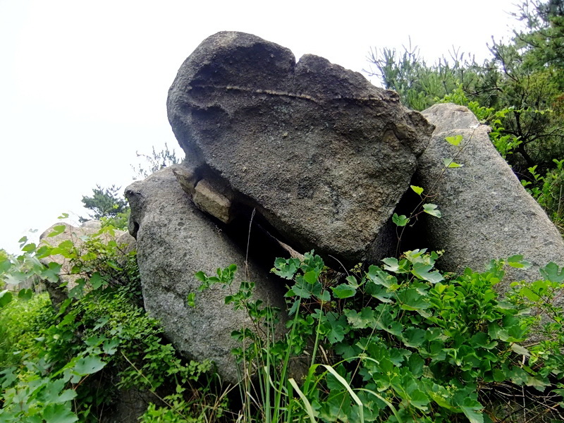 DSCF6407.jpg