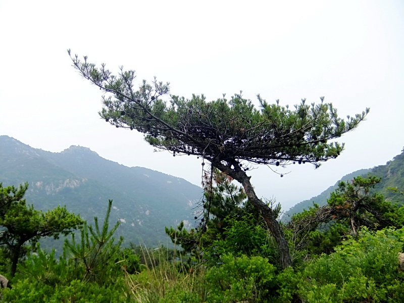 DSCF6396.jpg