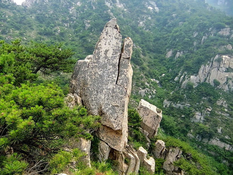 DSCF6397.jpg