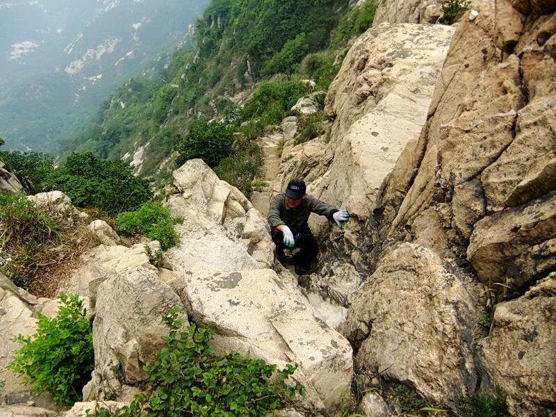 DSCF6439.jpg