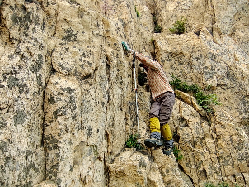 DSCF6474.jpg