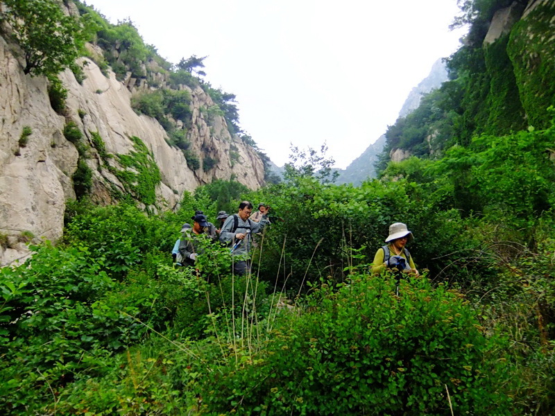 DSCF6495.jpg