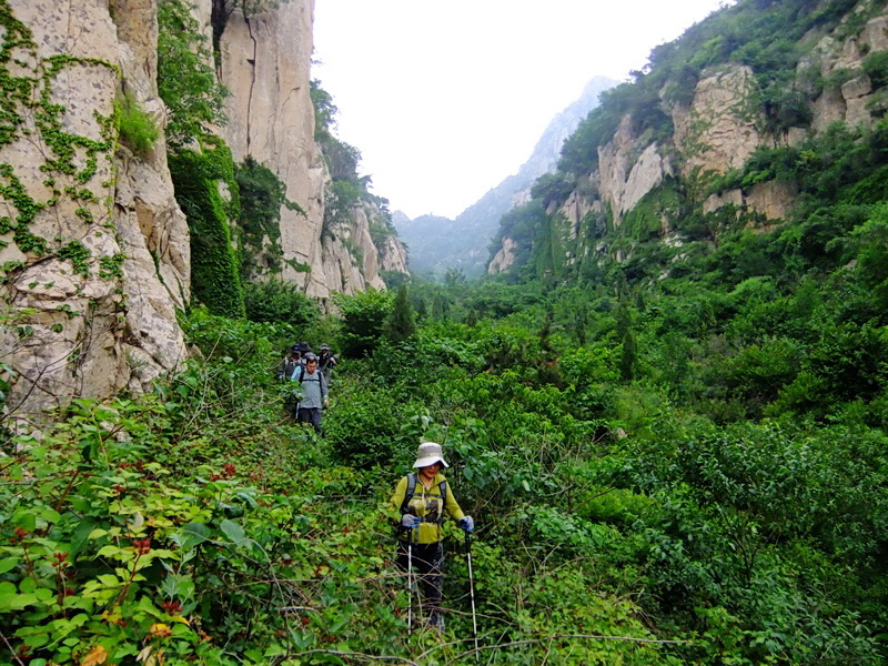 DSCF6496.jpg