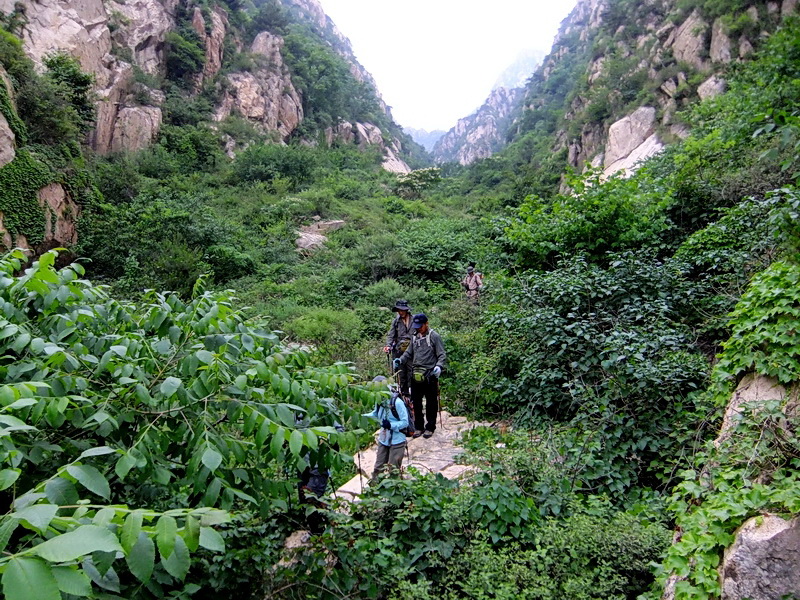 DSCF6510.jpg