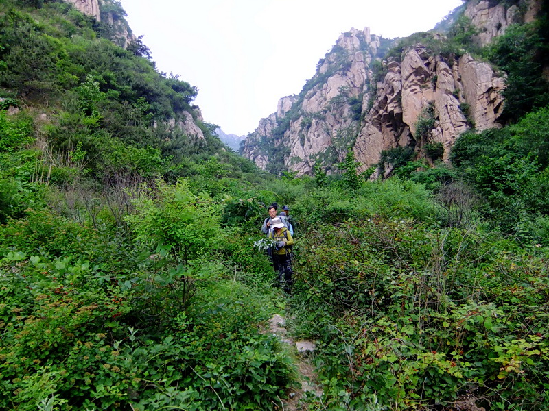 DSCF6505.jpg