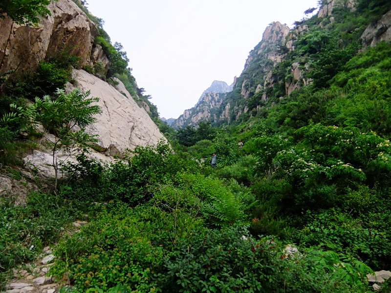 DSCF6506.jpg