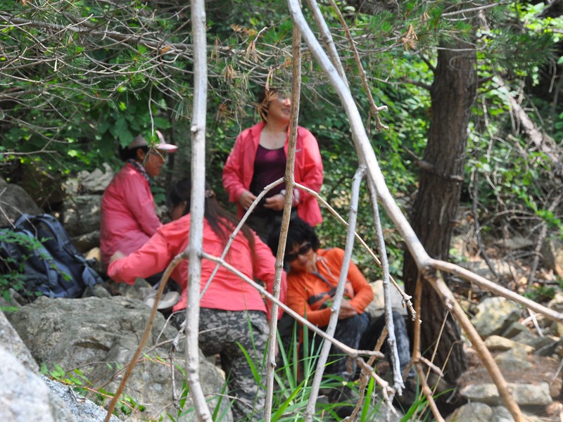 PhotoCap_055.jpg
