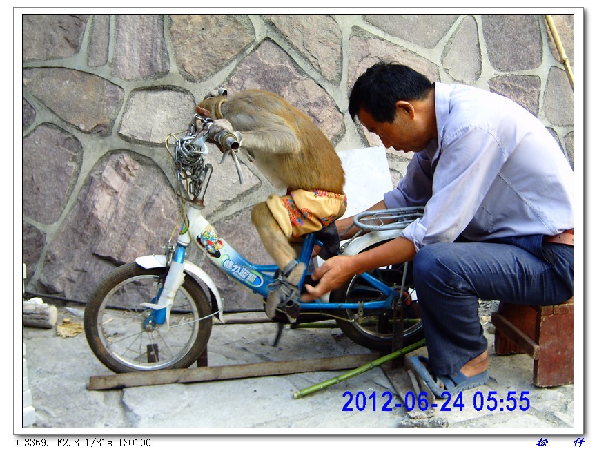 PICT0499.jpg