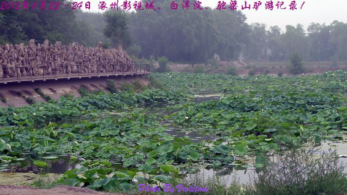 63.jpg