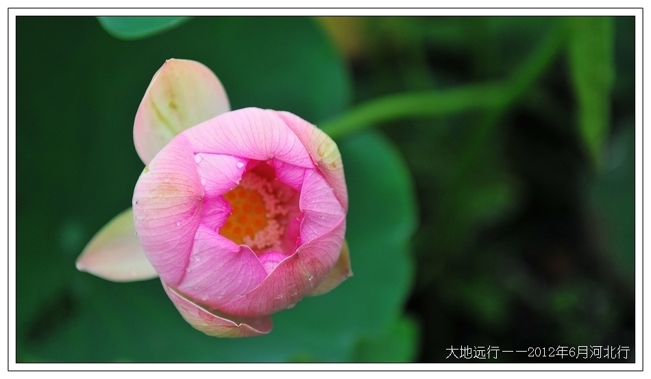 DSC_3705.jpg