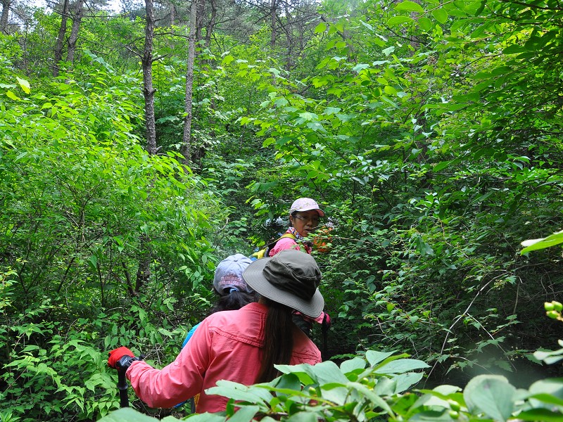 PhotoCap_097.jpg