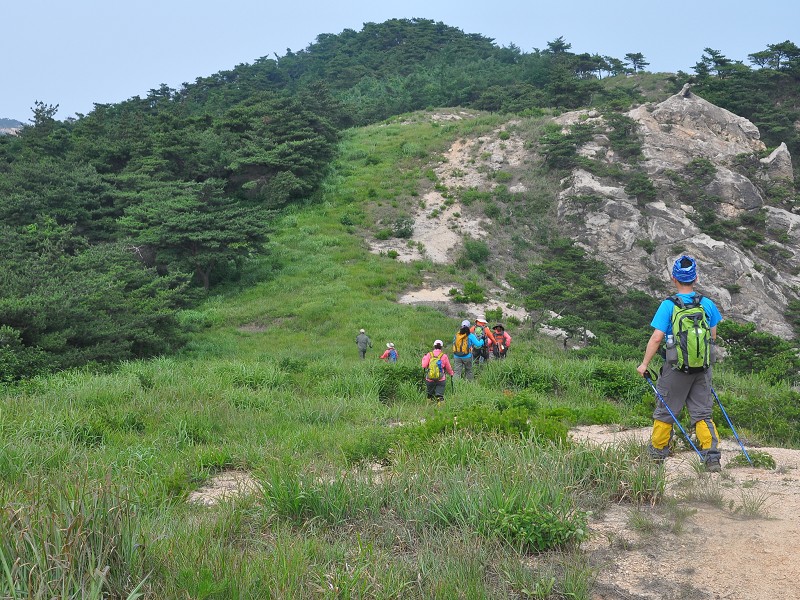 PhotoCap_110.jpg