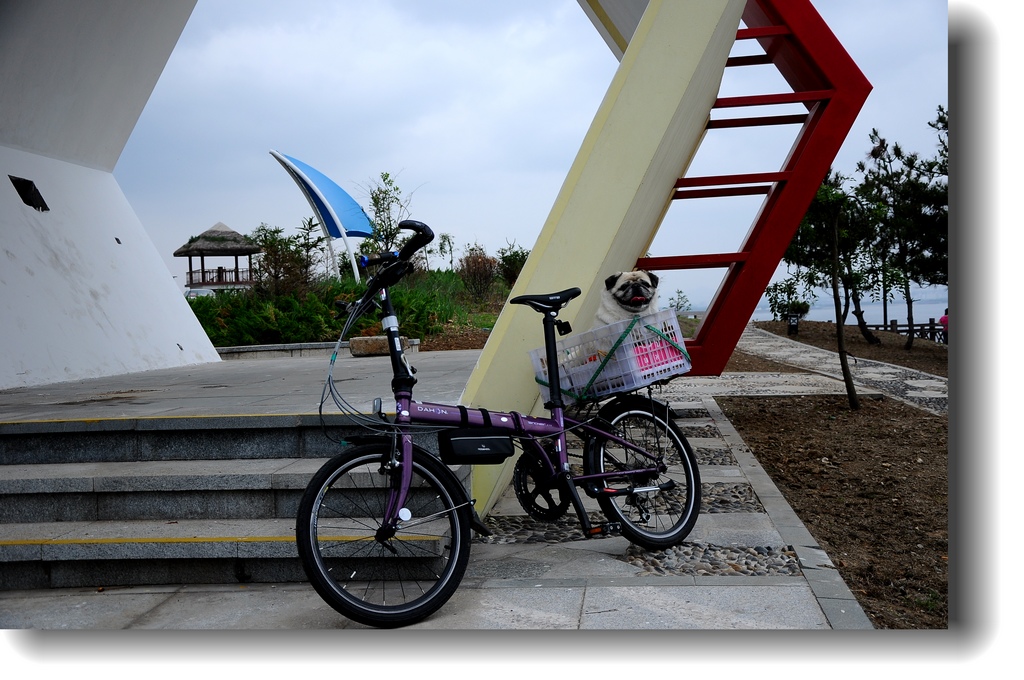 DSC_1915.jpg