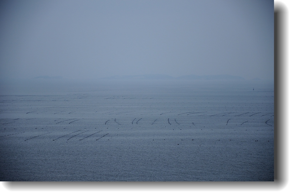 DSC_1934.jpg