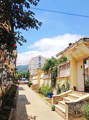 nEO_IMG_IMG_2236.jpg