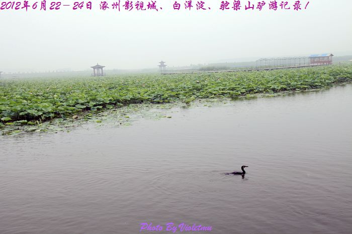 79.jpg